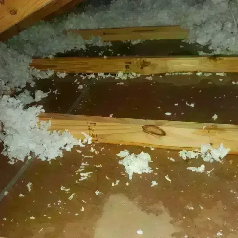 Attic Water Damage in Bedford, IN